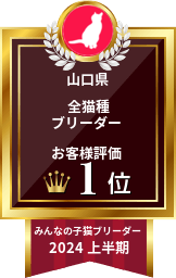 山口県全猫種ブリーダーお客様評価1位