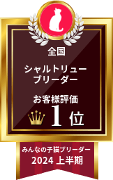 全国シャルトリューブリーダーお客様評価1位