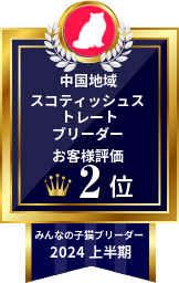 中国地域スコティッシュストレートブリーダーお客様評価2位