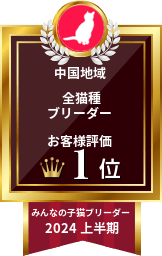 中国地域全猫種ブリーダーお客様評価1位