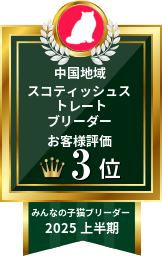 中国地域スコティッシュストレートブリーダーお客様評価3位