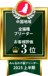 中国地域全猫種ブリーダーお客様評価1位