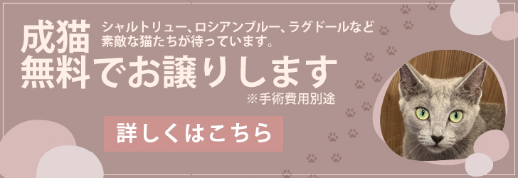 里親募集